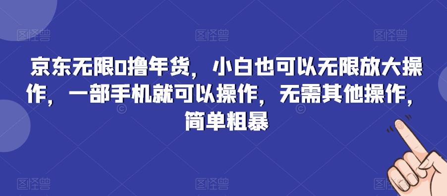 京东无限0撸年货，小白也可以无限放大操作，一部手机就可以操作，无需其他操作，简单粗暴 - 小毅网创-小毅网创