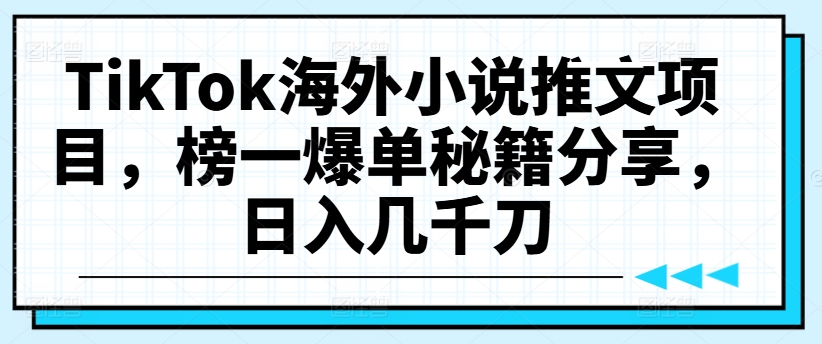 TikTok海外小说推文项目，榜一爆单秘籍分享，日入几千刀 - 小毅网创-小毅网创