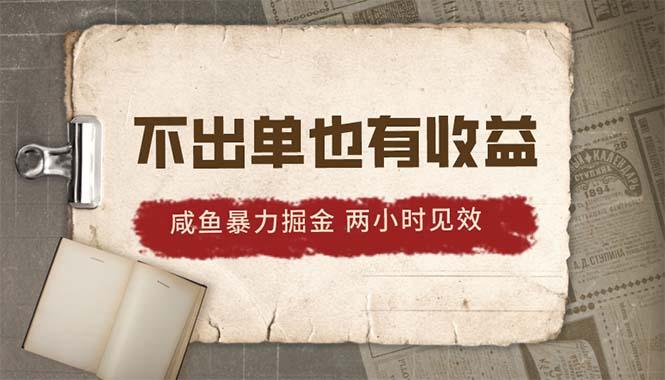 2024咸鱼暴力掘金，不出单也有收益，两小时见效，当天突破500+ - 小毅网创-小毅网创