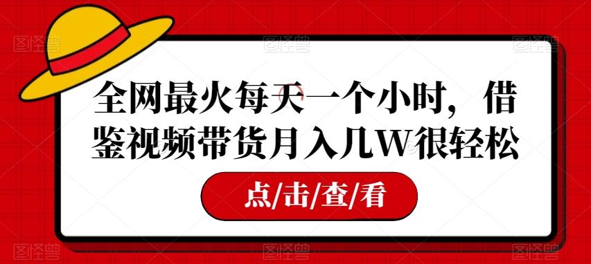 全网最火每天一个小时，借鉴视频带货月入几W很轻松【揭秘】 - 小毅网创-小毅网创