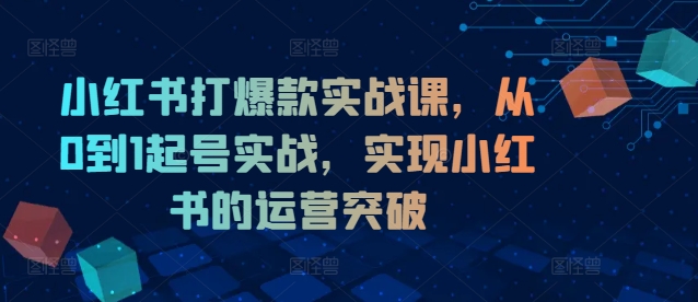 小红书打爆款实战课，从0到1起号实战，实现小红书的运营突破 - 小毅网创-小毅网创