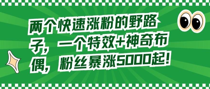 两个快速涨粉的野路子，一个特效+神奇布偶，粉丝暴涨5000起【揭秘】 - 小毅网创-小毅网创
