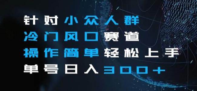 针对小众人群冷门风口赛道，操作简单轻松上手单号日入300+ - 小毅网创-小毅网创