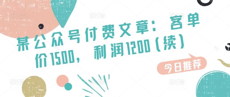 某公众号付费文章：客单价1500，利润1200(续)，市场几乎可以说是空白的 - 小毅网创-小毅网创
