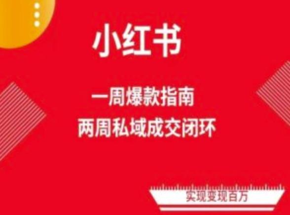 爆款小红书免费流量体系课程(两周变现)，小红书电商教程 - 小毅网创-小毅网创