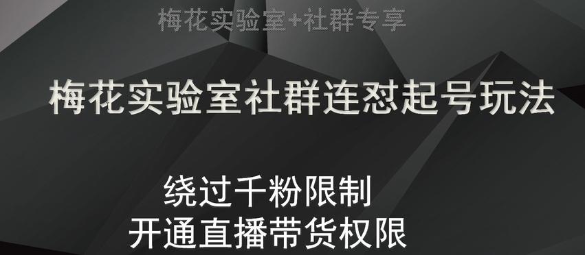 梅花实验室社群连怼起号玩法，视频号绕过千粉限制，开通直播带货权限【揭秘】 - 小毅网创-小毅网创