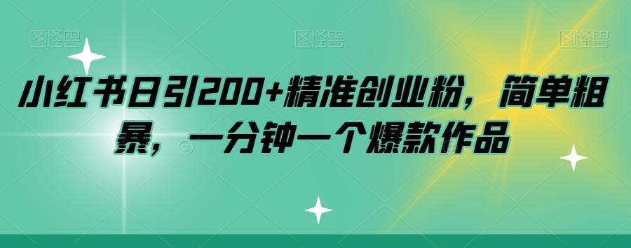 小红书日引200+精准创业粉，简单粗暴，一分钟一个爆款作品【揭秘】 - 小毅网创-小毅网创