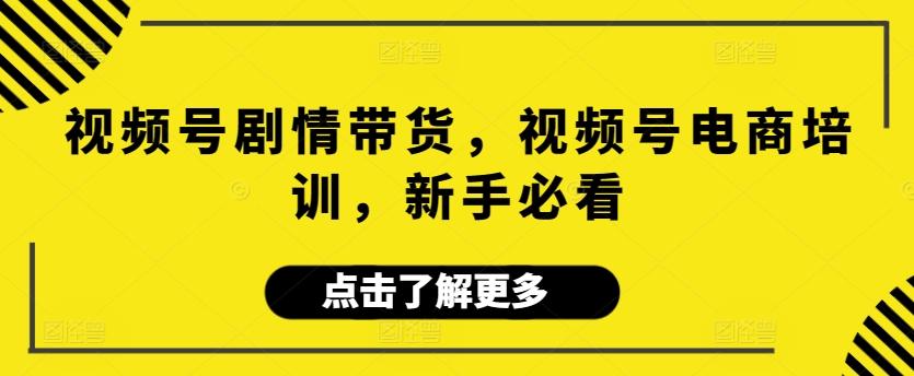视频号剧情带货，视频号电商培训，新手必看 - 小毅网创-小毅网创