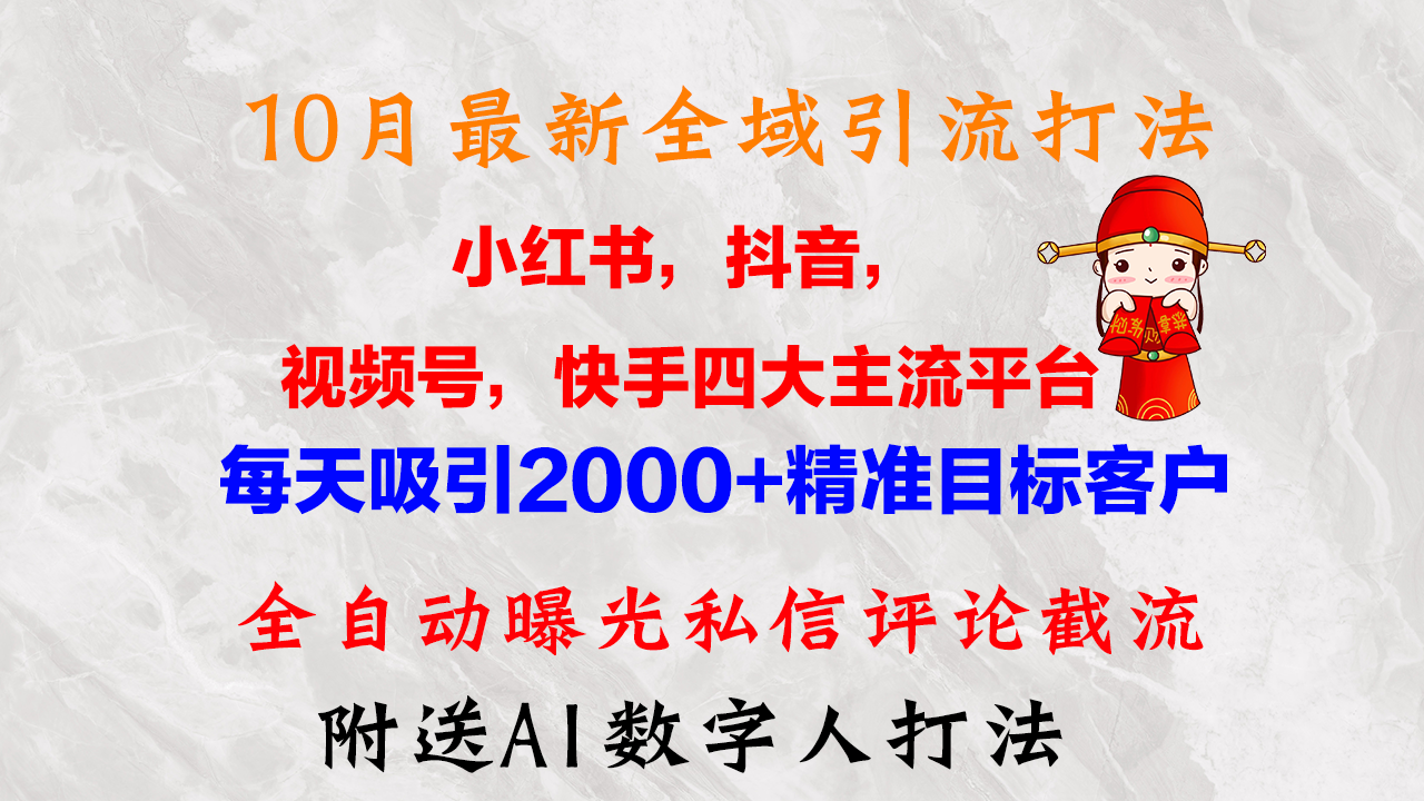 10月最新小红书，抖音，视频号，快手四大平台全域引流，，每天吸引2000... - 小毅网创-小毅网创
