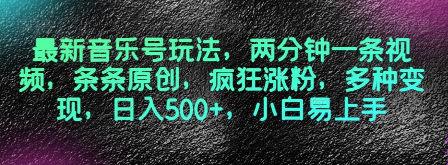 最新音乐号玩法，两分钟一条视频，条条原创，疯狂涨粉，多种变现，日入500+，小白易上手【揭秘】 - 小毅网创-小毅网创