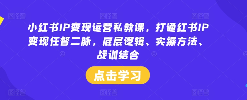 小红书IP变现运营私教课，打通红书IP变现任督二脉，底层逻辑、实操方法、战训结合 - 小毅网创-小毅网创