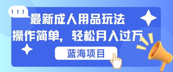 最新成人用品项目玩法，操作简单，动动手，轻松日入几张【揭秘】 - 小毅网创-小毅网创