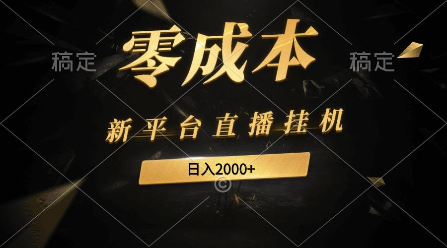 (9841期)新平台直播挂机最新玩法，0成本，不违规，日入2000+ - 小毅网创-小毅网创