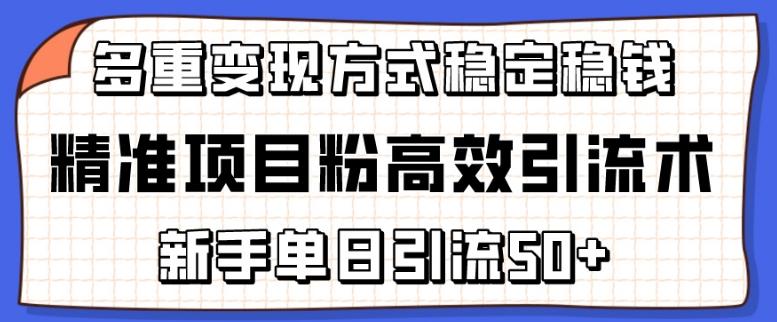 精准项目粉高效引流术，新手单日引流50+，多重变现方式稳定赚钱【揭秘】 - 小毅网创-小毅网创