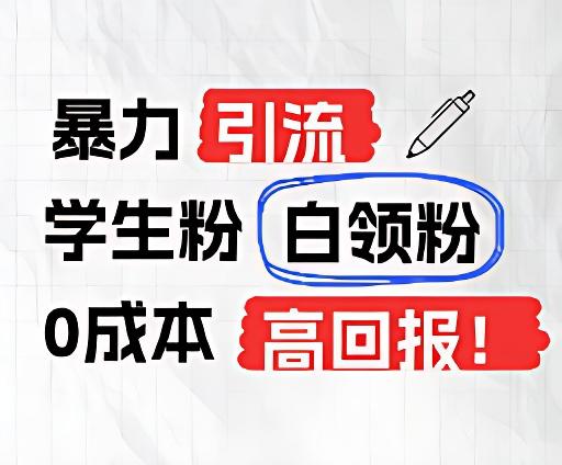 暴力引流学生粉白领粉，吊打以往垃圾玩法，0成本，高回报 - 小毅网创-小毅网创
