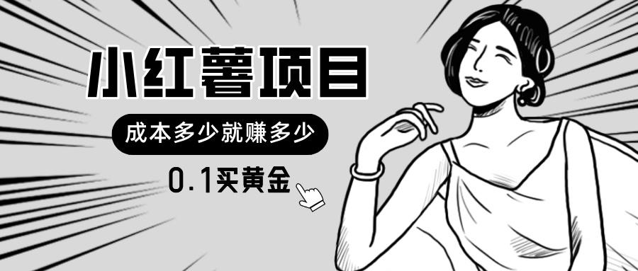 小红薯暴力项目，0.1买黄金。操作简单，日入无上限，可无限扩大。 - 小毅网创-小毅网创
