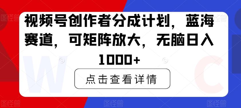视频号创作者分成计划，蓝海赛道，可矩阵放大，无脑日入1000+ - 小毅网创-小毅网创