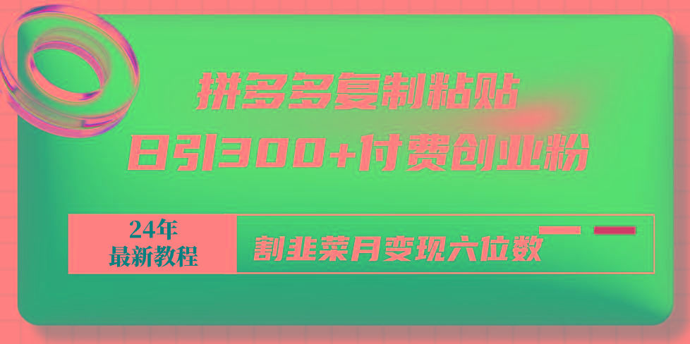 拼多多复制粘贴日引300+付费创业粉，割韭菜月变现六位数最新教程！ - 小毅网创-小毅网创