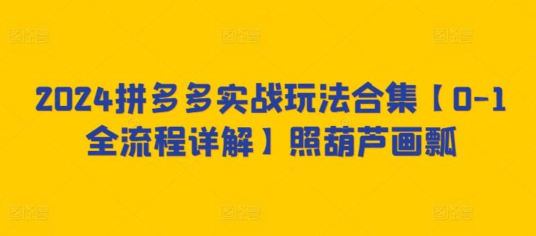 2024拼多多实战玩法合集【0-1全流程详解】照葫芦画瓢 - 小毅网创-小毅网创