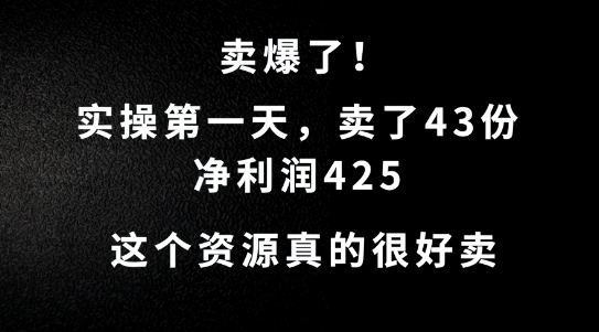 这个资源，需求很大，实操第一天卖了43份，净利润425【揭秘】 - 小毅网创-小毅网创