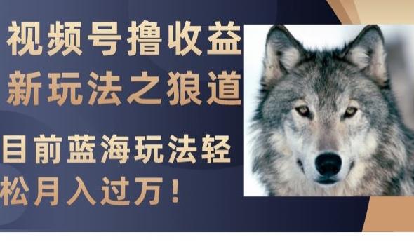 视频号撸收益新玩法之狼道，目前蓝海玩法，轻松月入过万【揭秘】 - 小毅网创-小毅网创