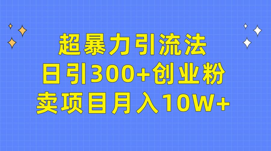 (9954期)超暴力引流法，日引300+创业粉，卖项目月入10W+ - 小毅网创-小毅网创