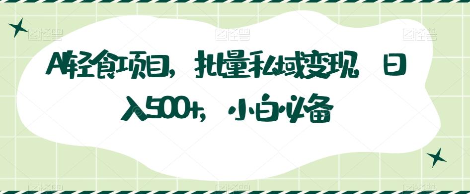 AI轻食项目，批量私域变现，日入500+，小白必备 - 小毅网创-小毅网创