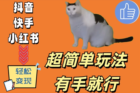 超简单玩法，有手就行，靠猫咪视频日入500+【揭秘】 - 小毅网创-小毅网创