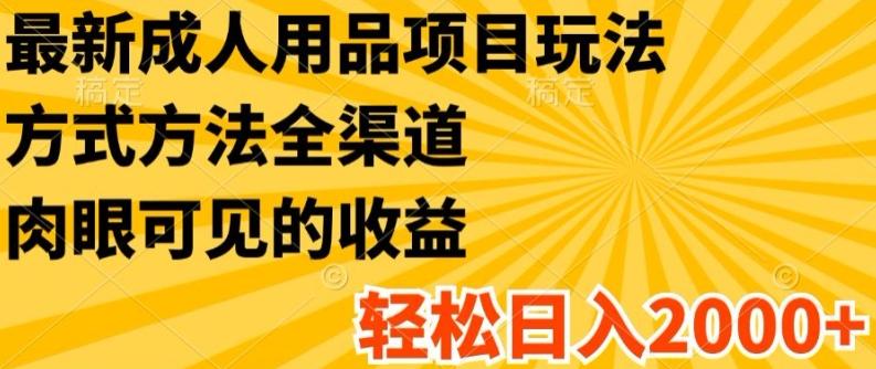 最新成人用品项目玩法，方式方法全渠道，轻松日入2K+【揭秘】 - 小毅网创-小毅网创