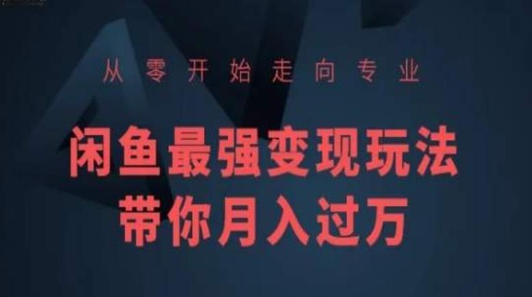 从零开始走向专业，闲鱼最强变现玩法带你月入过万 - 小毅网创-小毅网创