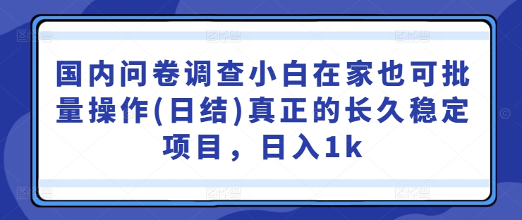 国内问卷调查小白在家也可批量操作(日结)真正的长久稳定项目，日入1k【揭秘】 - 小毅网创-小毅网创