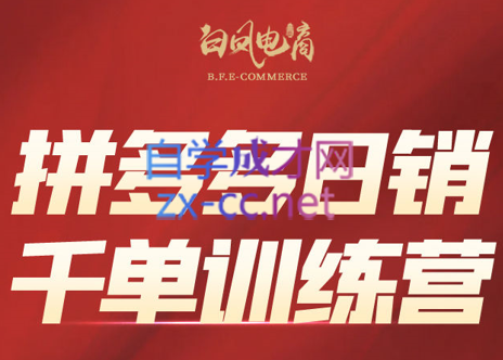 白凤电商学院·拼多多日销千单训练营(更新7月) - 小毅网创-小毅网创