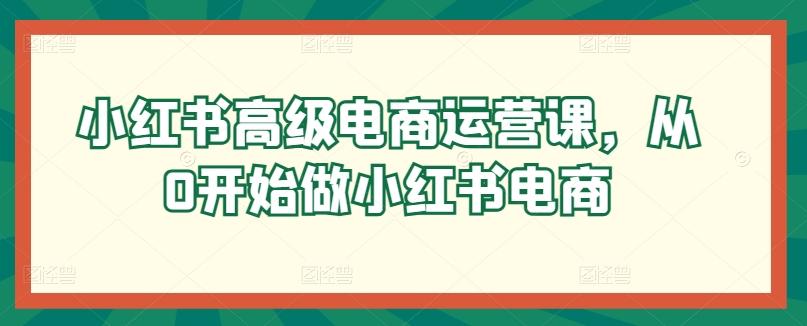 小红书高级电商运营课，从0开始做小红书电商 - 小毅网创-小毅网创