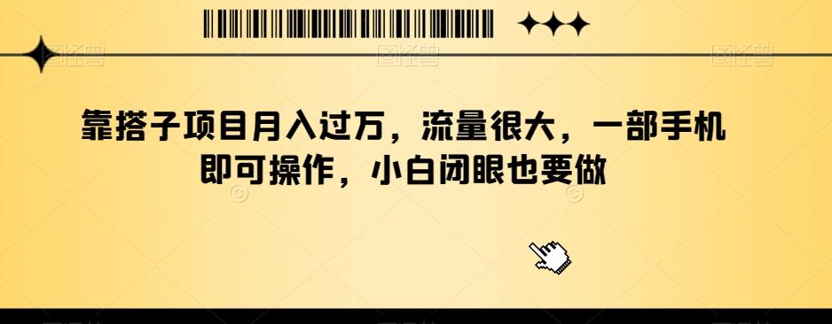 靠搭子项目月入过万，流量很大，一部手机即可操作，小白闭眼也要做 - 小毅网创-小毅网创