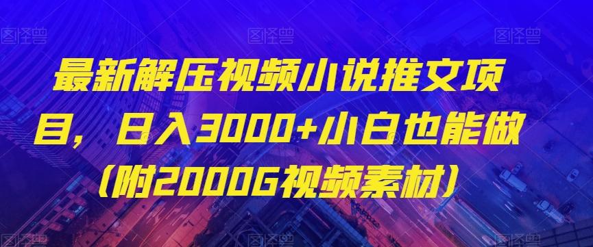 最新解压视频小说推文项目，日入3000+小白也能做（附2000G视频素材）【揭秘】 - 小毅网创-小毅网创