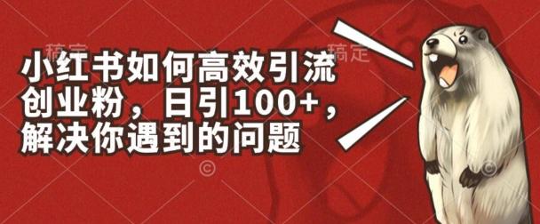 小红书如何高效引流创业粉，日引100+，解决你遇到的问题【揭秘】 - 小毅网创-小毅网创
