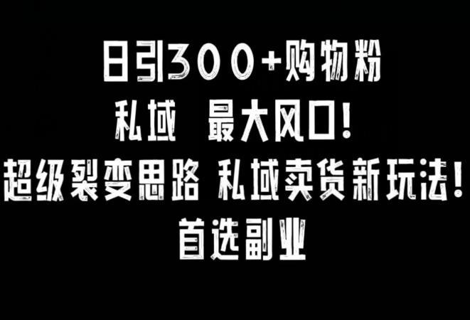 日引300+购物粉，超级裂变思路，私域卖货新玩法，小红书首选副业【揭秘】 - 小毅网创-小毅网创