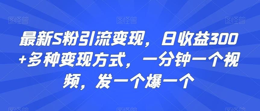 最新S粉引流变现，日收益300+多种变现方式，一分钟一个视频，发一个爆一个【揭秘】 - 小毅网创-小毅网创