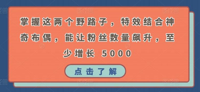 掌握这两个野路子，特效结合神奇布偶，能让粉丝数量飙升，至少增长 5000【揭秘】 - 小毅网创-小毅网创