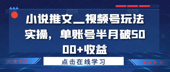 小说推文—视频号玩法实操，单账号半月破5000+收益 - 小毅网创-小毅网创