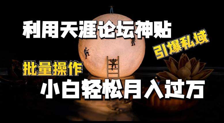利用天涯论坛神贴，引爆私域，批量操作，小白轻松月入过w【揭秘】 - 小毅网创-小毅网创