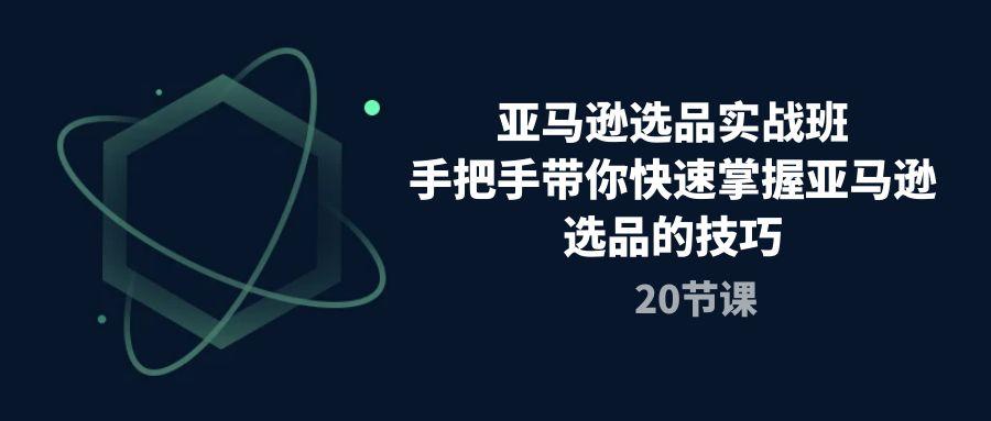 亚马逊选品实战班，手把手带你快速掌握亚马逊选品的技巧(20节课 - 小毅网创-小毅网创