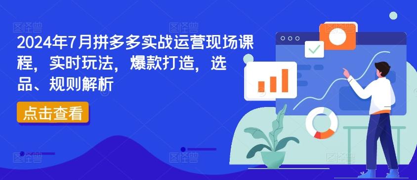 2024年7月拼多多实战运营现场课程，实时玩法，爆款打造，选品、规则解析 - 小毅网创-小毅网创