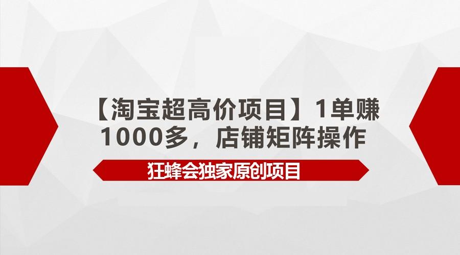【淘宝超高价项目】1单赚1000多，店铺矩阵操作 - 小毅网创-小毅网创