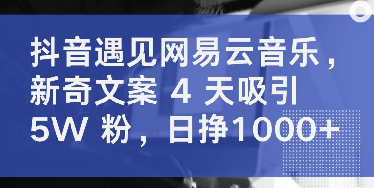 抖音遇见网易云音乐，新奇文案 4 天吸引 5W 粉，日挣1000+【揭秘】 - 小毅网创-小毅网创