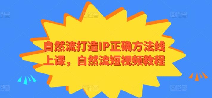 自然流打造IP正确方法线上课，自然流短视频教程 - 小毅网创-小毅网创