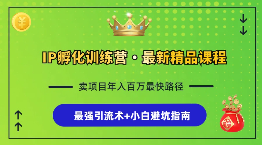 IP孵化训练营，知识付费全流程+最强引流术+小白避坑指南 - 小毅网创-小毅网创