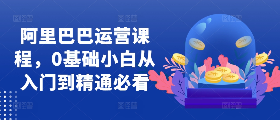 阿里巴巴运营课程，0基础小白从入门到精通必看 - 小毅网创-小毅网创