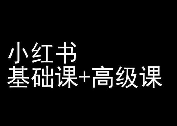 小红书基础课+高级课-小红书运营教程 - 小毅网创-小毅网创