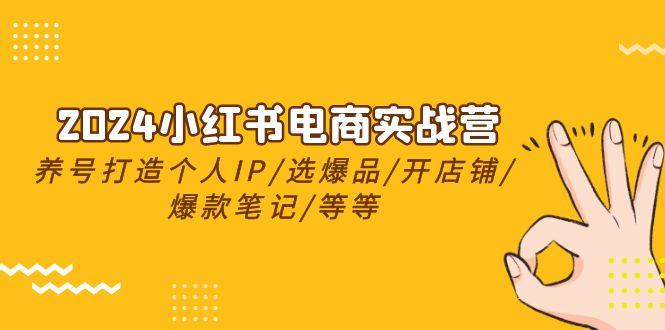 2024小红书电商实战营，养号打造IP/选爆品/开店铺/爆款笔记/等等(24节) - 小毅网创-小毅网创